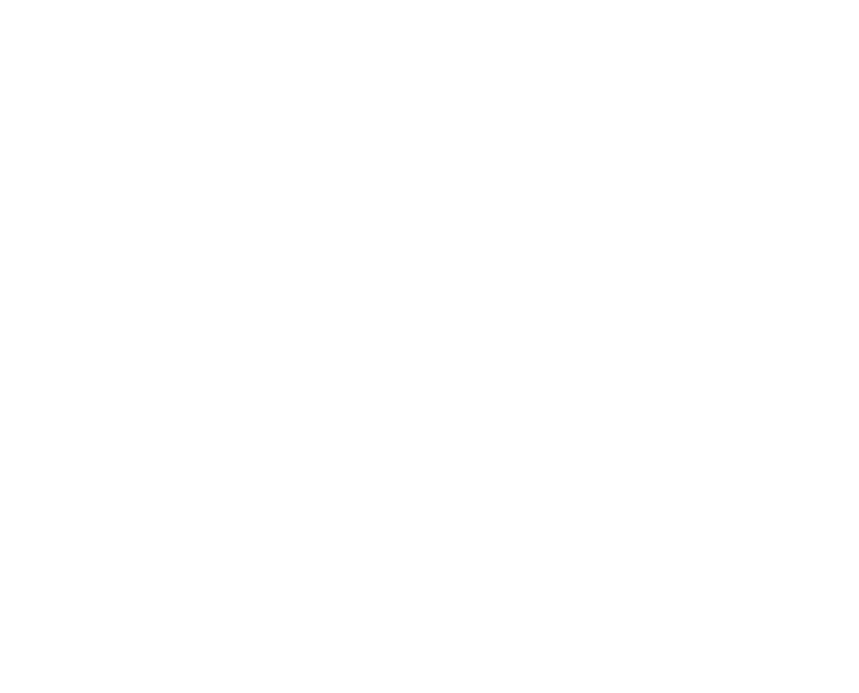 Vegan friendly